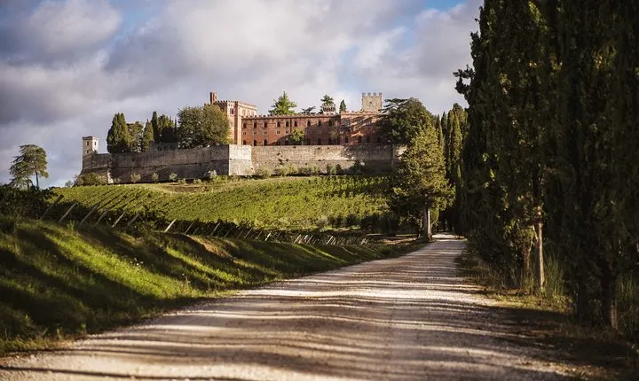 Siena and Chianti Country with Lunch&2WineTastings from Florence