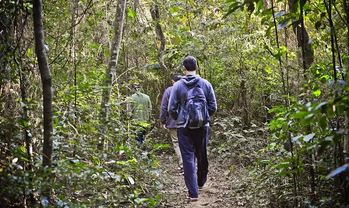 Private 4-hour Ecotour to Cantareira or Jaraguá Forest Reserve