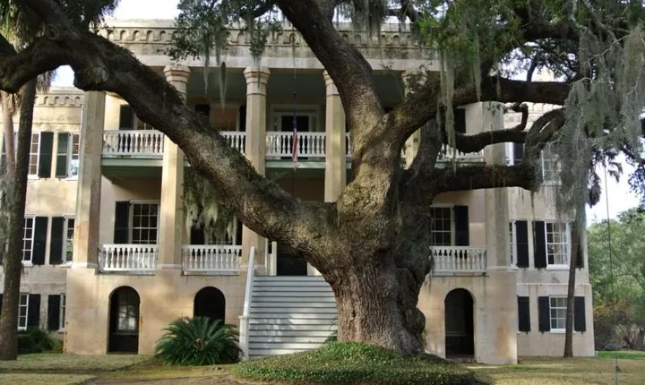 Beaufort City Minibus Tour