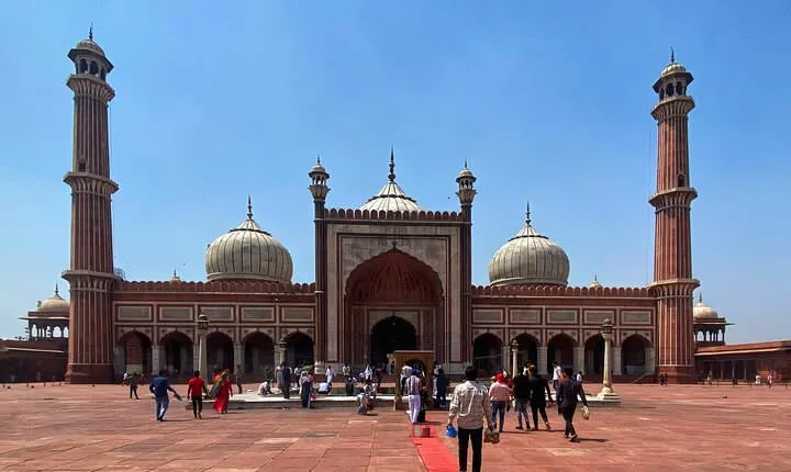 Half-Day Premium Classic Old Delhi Cycling Tour - Unity in Diversity