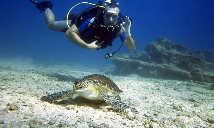 Private Discovery Dive + Photos & Videos