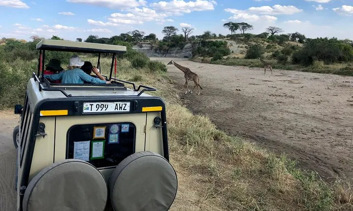 Kilimanjaro: Marangu Route and Camping Safari