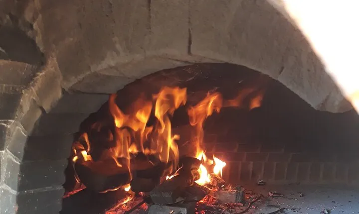 Rome: Wine Tour & Pizza Making Class in a Frascati's vineyard - 5 hours