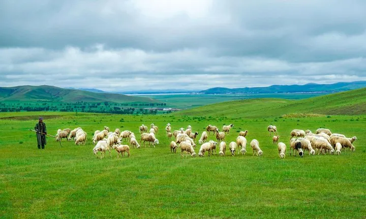 Private Transfer between Beijing and Bashang Grassland in Mulan Weichang