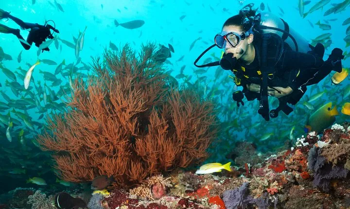 Try Scuba Diving in Kauai From a Boat for Non-Certified Divers