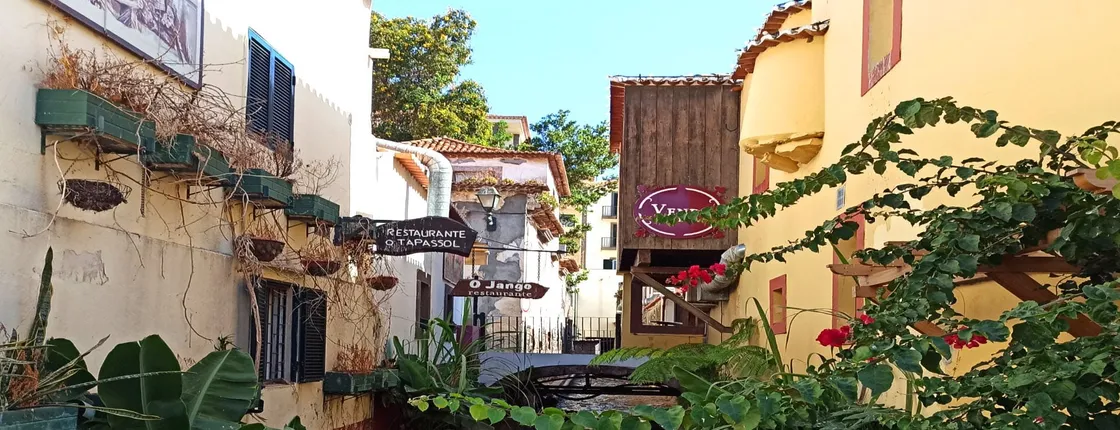 Monte Village Delights Private Tour in Funchal