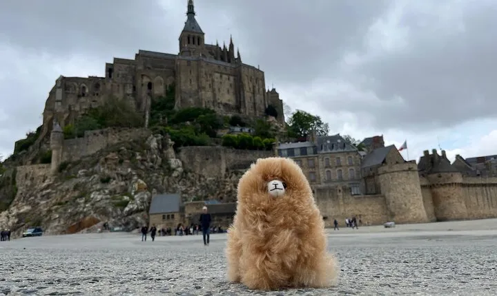 Private Guided Mont Saint Michel & D-day tour from Paris