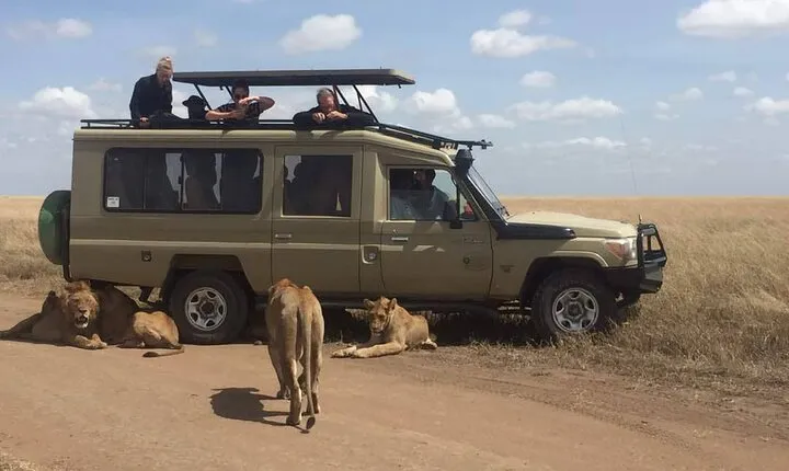 Full-Day Private Serengeti National Park Safari with Breakfast
