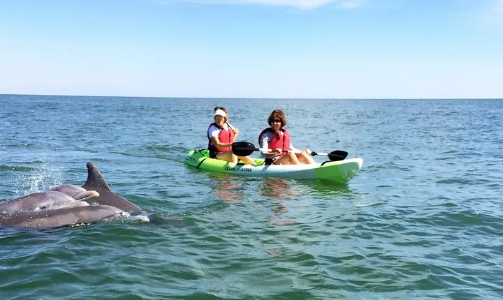Small Group Dolphin Kayak Eco-Tour