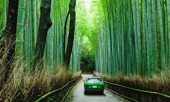 Kyoto Private 6 hour Tour: English Speaking Driver Only, No Guide