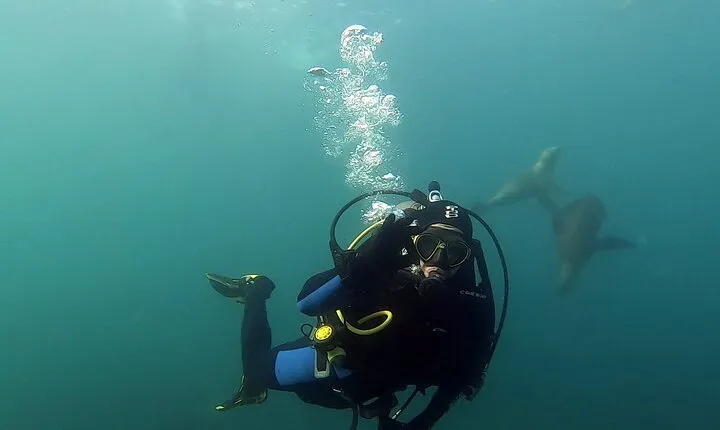 Private Diving Experience with Sea Lions in Punta Loma