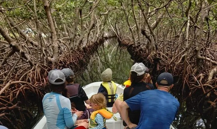 Roatan East Side Mangrove Tunnels and Snorkel Adventure