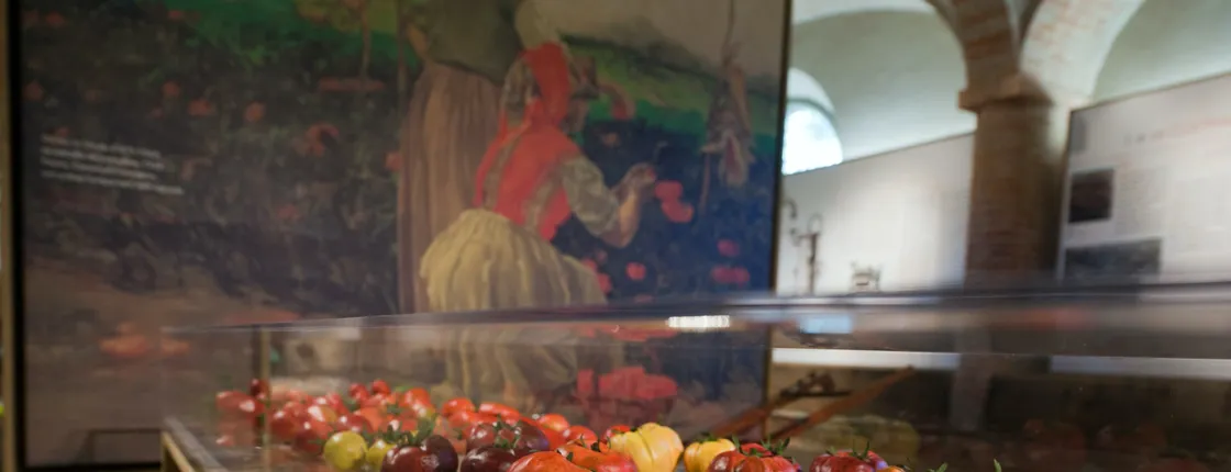 Tickets to the Tomato Museum in Collecchio