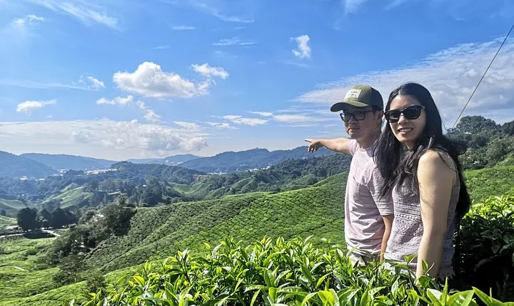 Cameron Highland Best Day Tour from Ipoh with Lunch ( Day Trip)
