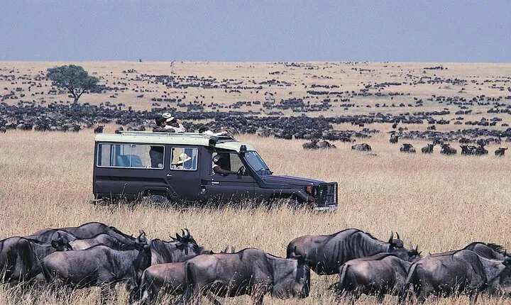 6 Days Wildlife and Cultural Experience Safari in Tanzania
