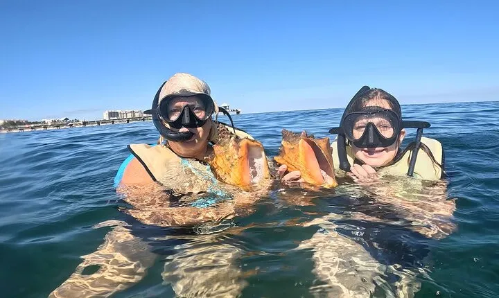 Public Guided Snorkel Tour of Fort Lauderdale Reefs