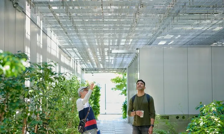 Small-Group Architecture Tour in Ginza, Tokyo