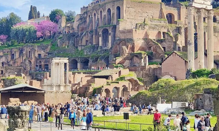Guided tour of Roman Forum & Palatine Hill
