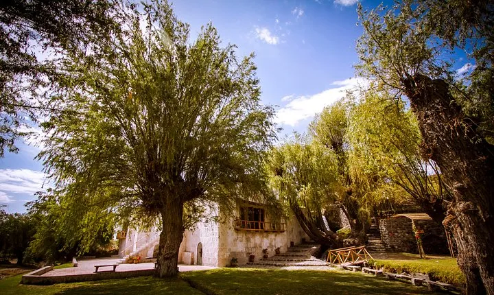 Half-Day Private Tour to Santa Catalina Convent and Sabandía Mill