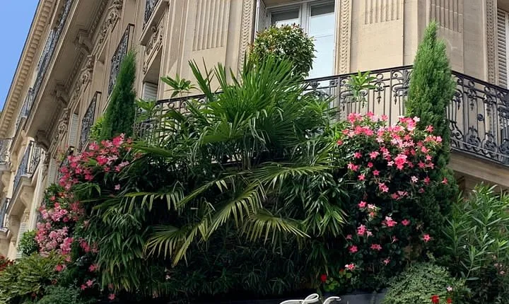 Private Tour of Saint Germain des Pres