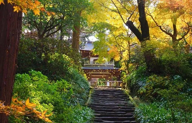 Kamakura Zen Temples and Gardens Private Trip with Government-Licensed Guide