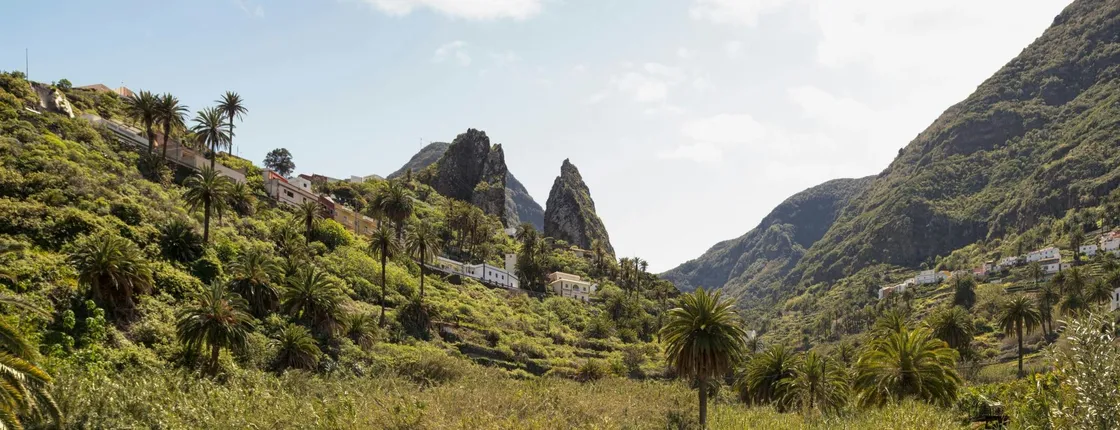 VIP guided tour of La Gomera with Garajonay Park and lunch