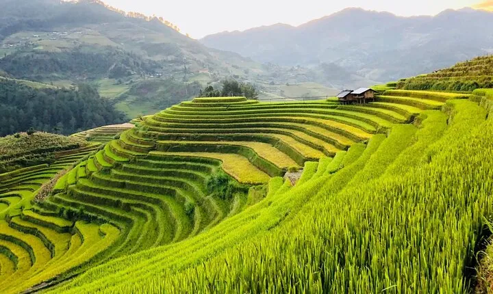 1-Day Trekking in Sa Pa from Ha Noi
