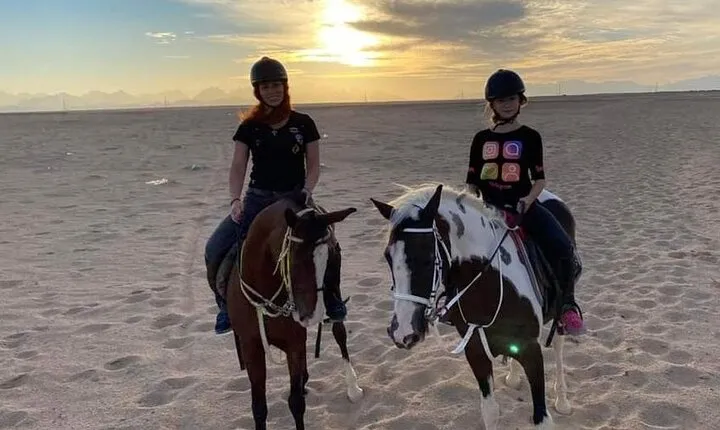 2 Hours of Private Horse Riding Activity in Hurghada