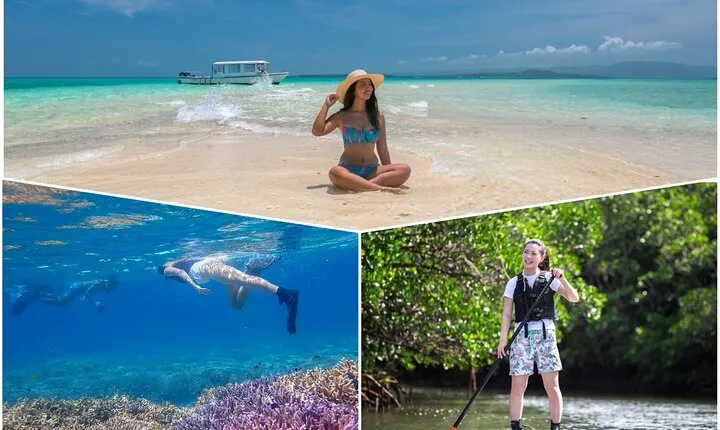 Ishigaki Mangrove SUP or Canoeing and Phantom Island Snorkeling