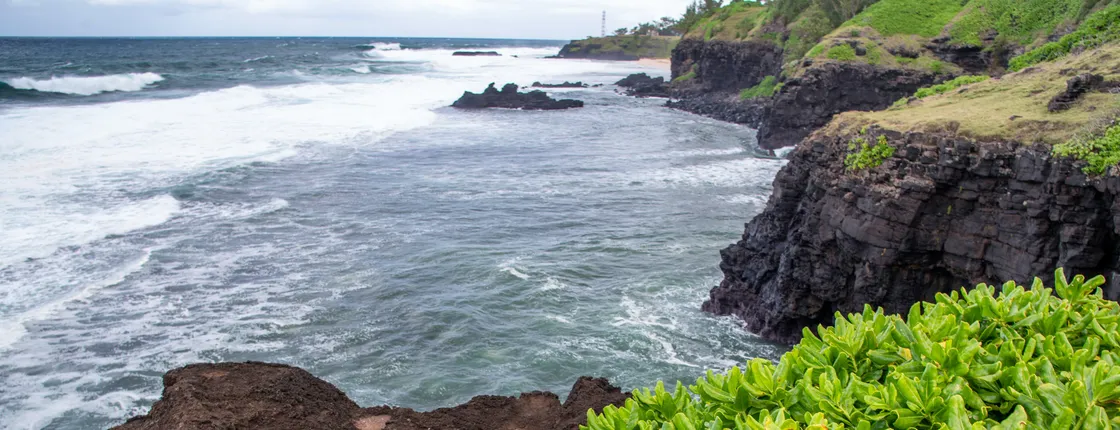 La Vanille Nature Park and Gris Gris beach tour