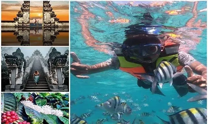 All Inclusive Bali Snorkeling Blue Lagoon with Gate Heaven