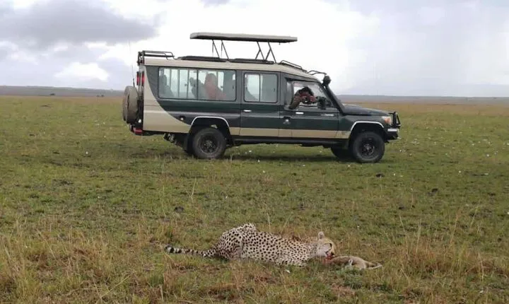 3 Day Private 4x4 Jeep Tour in Masai Mara Safari