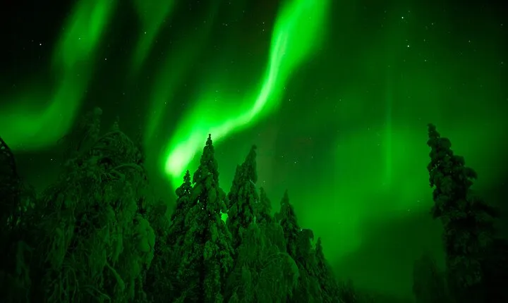 Northern Lights Hunting Adventure in Lapland