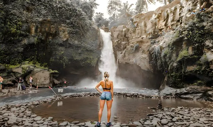 Bali Car-Charter: Ubud Full Day Tour