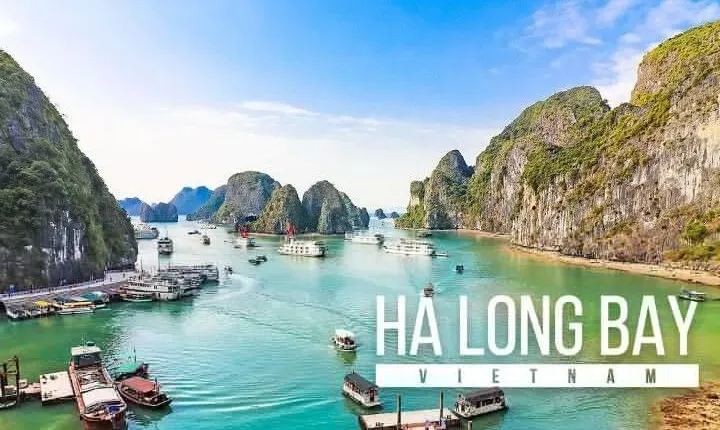 Best Seller Halong Full Day Tour All Included Expressway Transfer