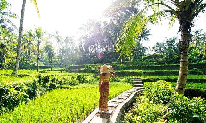 Eat Pray Love Bali Private Tour – Full Day
