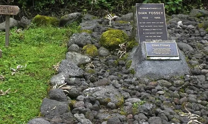 1 Day Dian Fossey Tomb Hike