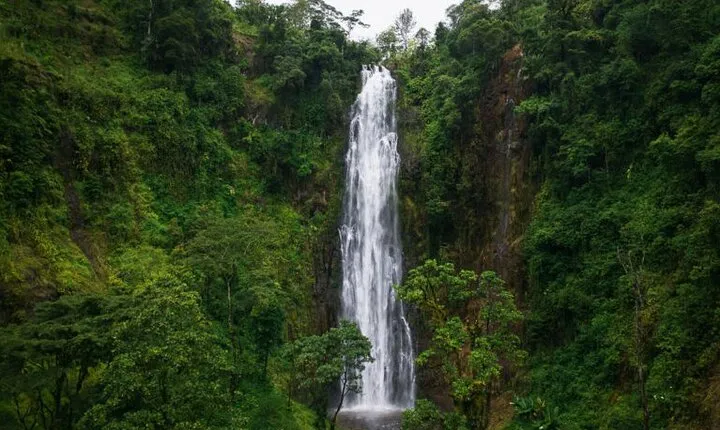 Materuni Waterfall Hike & Coffee Tour