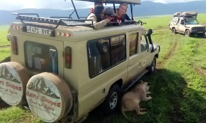 5 Days Camping Tarangire, Serengeti & Ngorongoro crater & Visiting Maasai