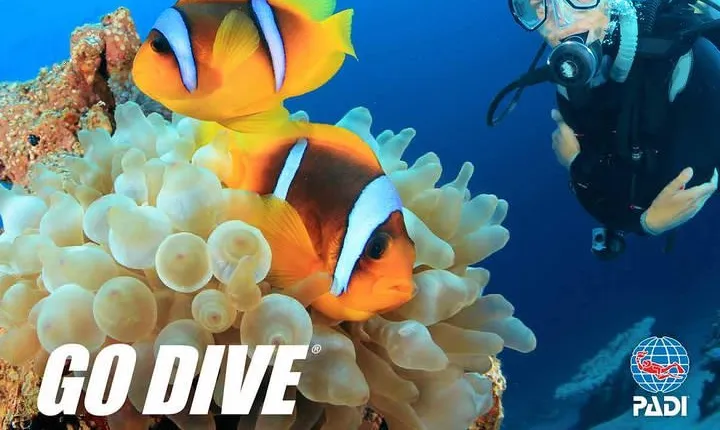 Exploration dives