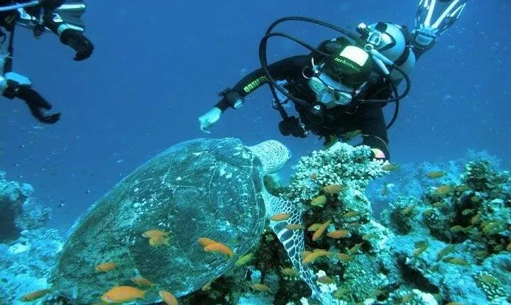Ras Mohammed Snorkeling Tour by Boat