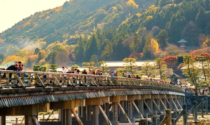 Kyoto & Nara Day Tour: Golden Pavilion, Fushimi Inari & Deer Park