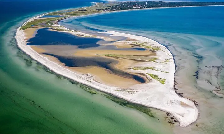 Bird Watching Private Tour in Copenhagen