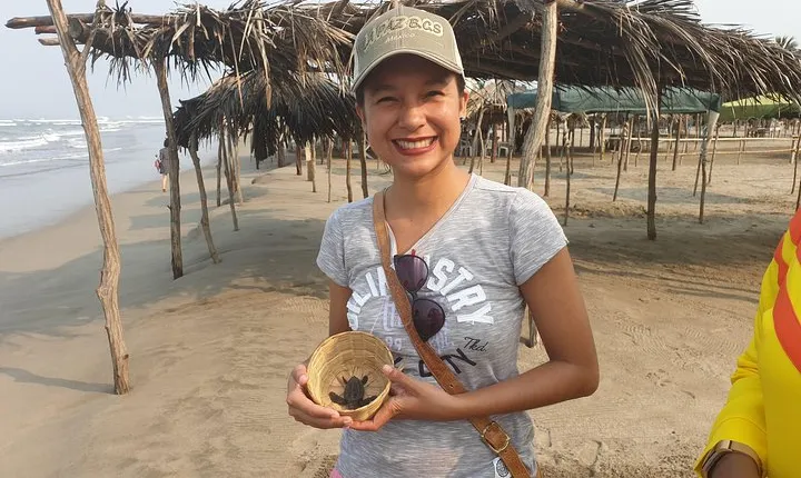 6 Hour Fun-Filled Tour Perfect for Cruise Travelers & Hotel Stays