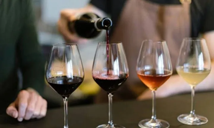 Private Arrábida and Comporta Wine Full Day Tour From Lisbon