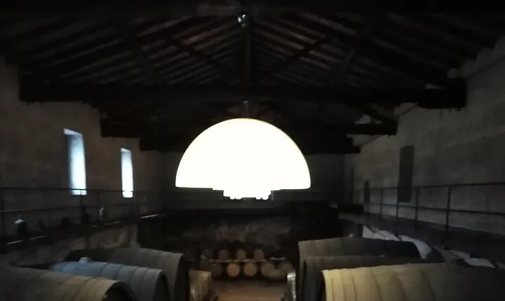 Private Etna tour with wine tasting and lunch