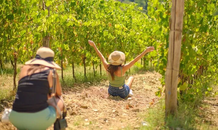 Half day Chianti Vineyard Escape from Florence with Wine Tastings