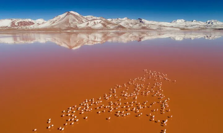 3-Days Tour to the Uyuni Salt Flat and Colored Lagoons +Sunset+Mirror Effect