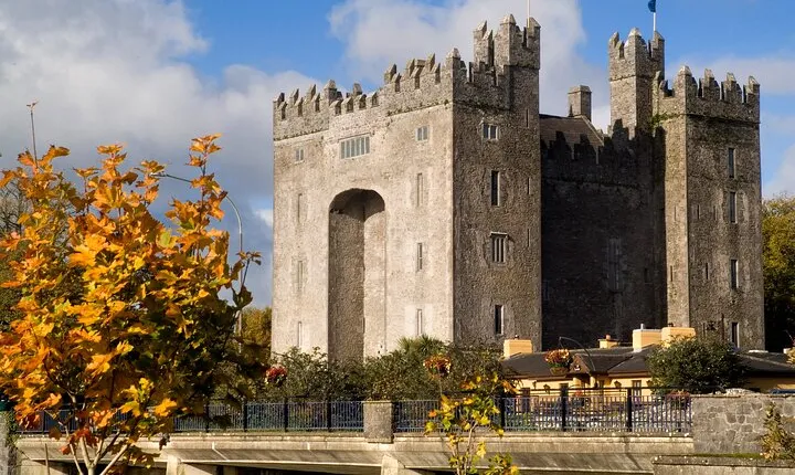 Shannon to or from Dublin Private Transfer 