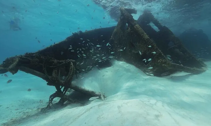 Snorkel Experience In Cancun! Reef and Sunken Ship